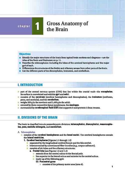 BRS Neuroanatomy (Board Review Series) Sixth Edition 2020